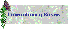 Luxembourg Roses