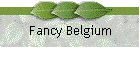 Fancy Belgium