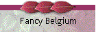 Fancy Belgium