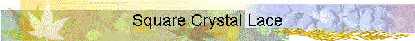 Square Crystal Lace